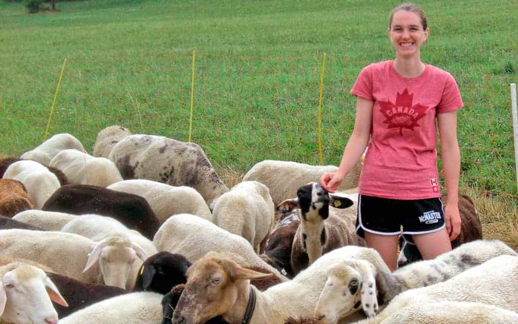 Seeing the world by WWOOF-ing it up