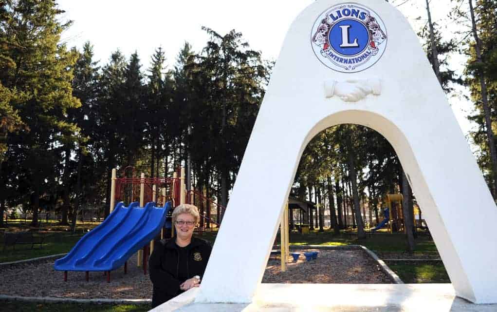 Paradise Lions’ Tree of Light campaign to raise funds for park pavilion