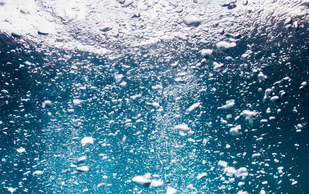 Local students among those booked to take part in the Groundwater Festival