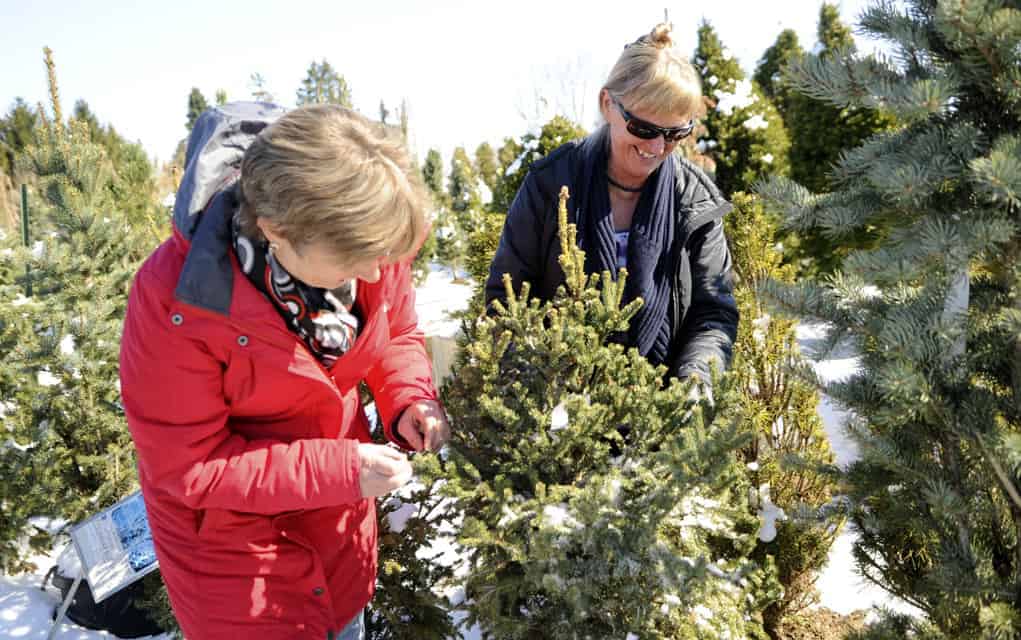 Springing into healthier options