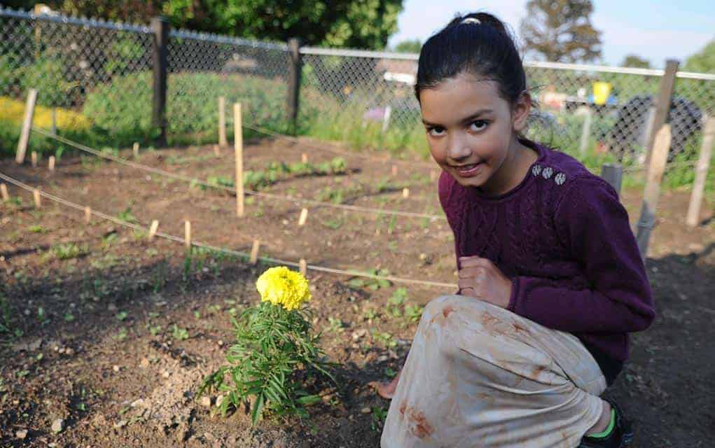 Junior Gardening Club adding some new activities