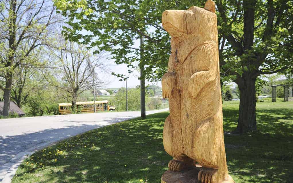 A bear-able use for their ash tree