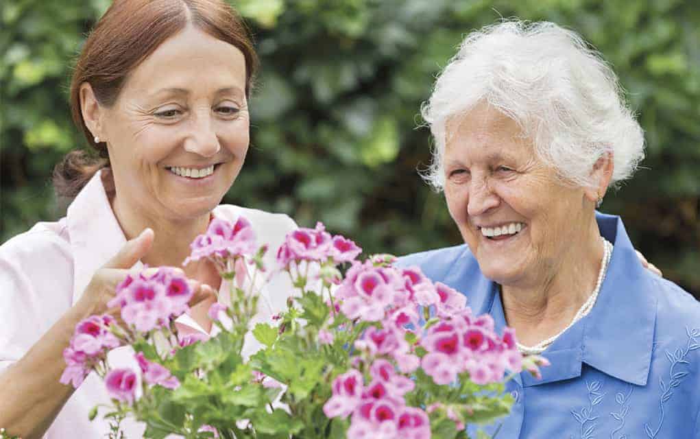 Filling an identified need for aid to seniors