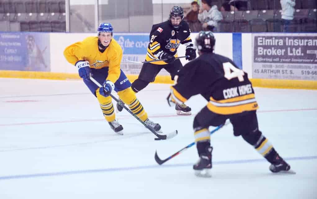 Kings down to the details in finalizing their 2016-17 roster