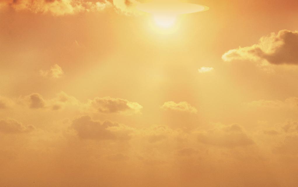 More sunshine as list grows again in the past year