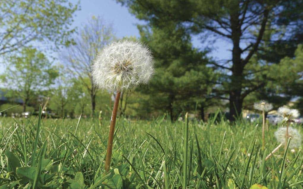 Woolwich expands its clean yards bylaw, taking aim at a list of problems