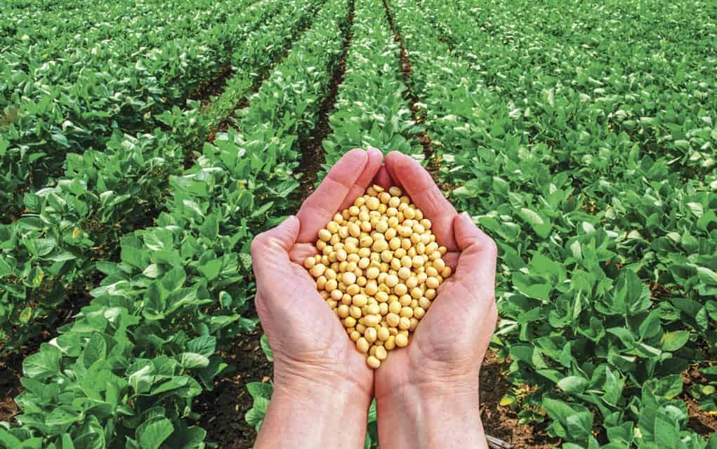 Spreading the word about the agri-food industry