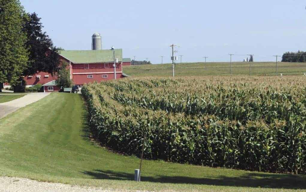 Weather has some crops down, but not out