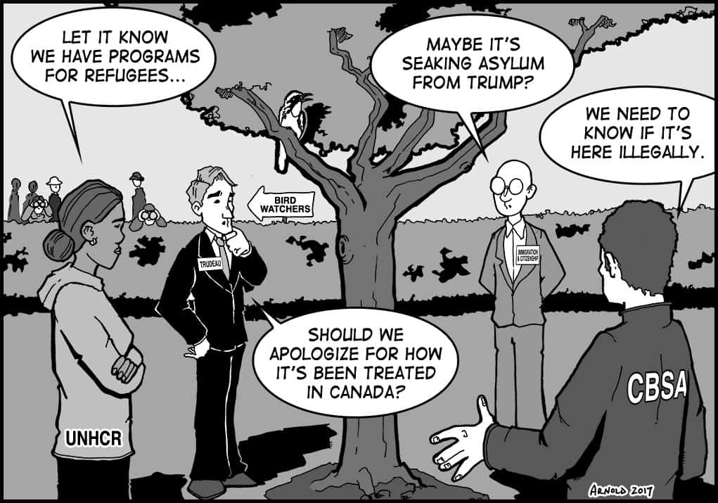 View From Here – November 30, 2017