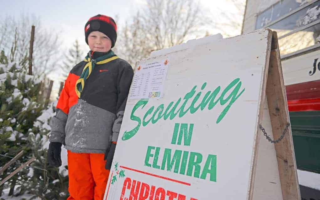 Tree sales an annual Christmas tradition