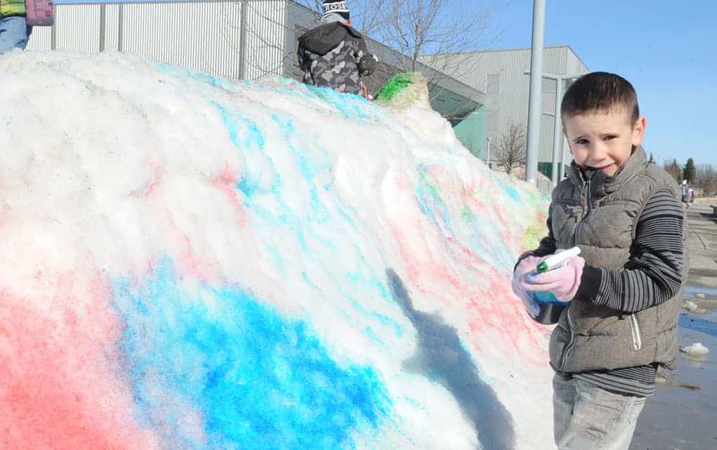 Winter back in bloom for horticultural society’s Family Day