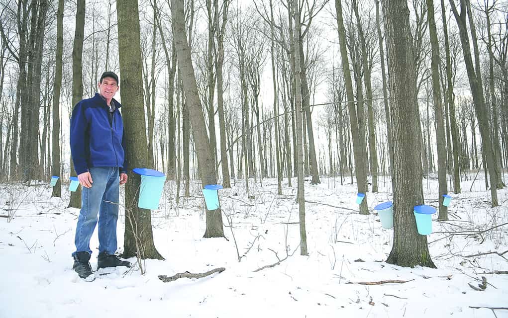 The sap festival is a sign of spring, but the weather has some catching up to do