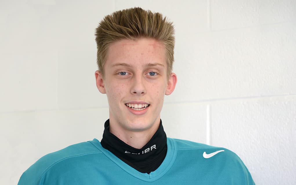 Three area hockey players selected in OHL draft