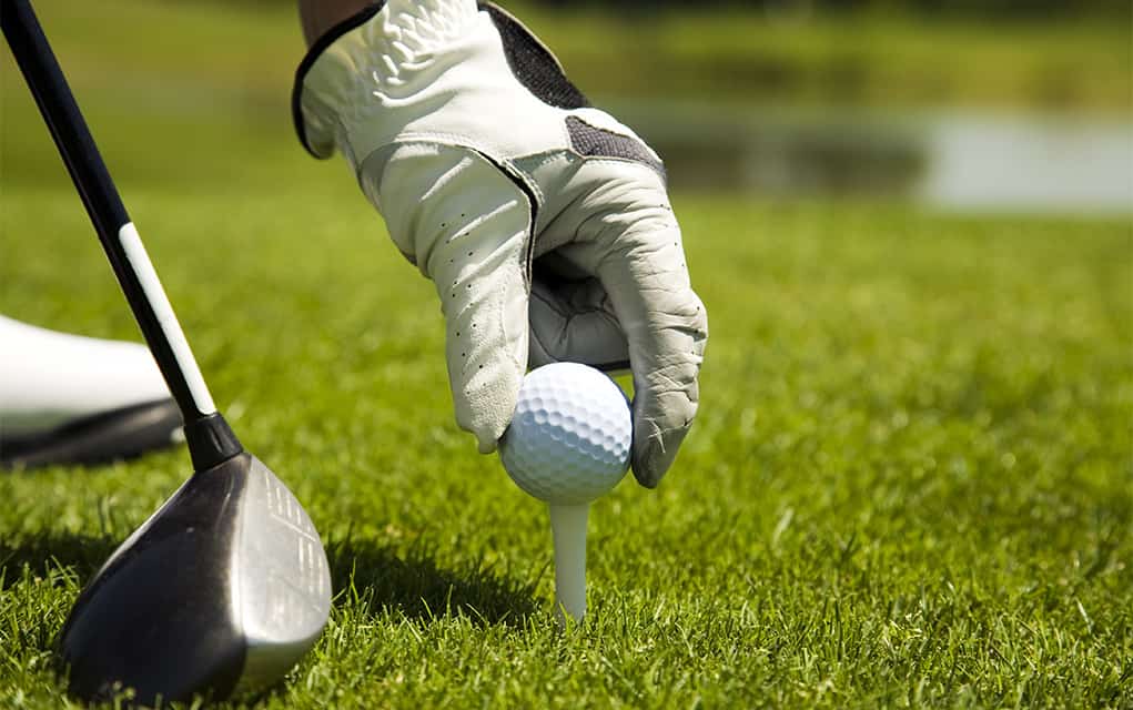 WCS hosts its fundraising Jeanne Renault Golf Classic Friday afternoon