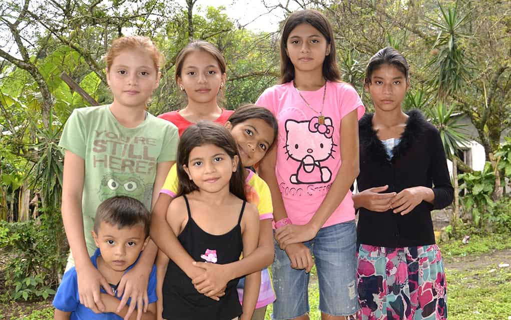 A study in how to lend a helping hand