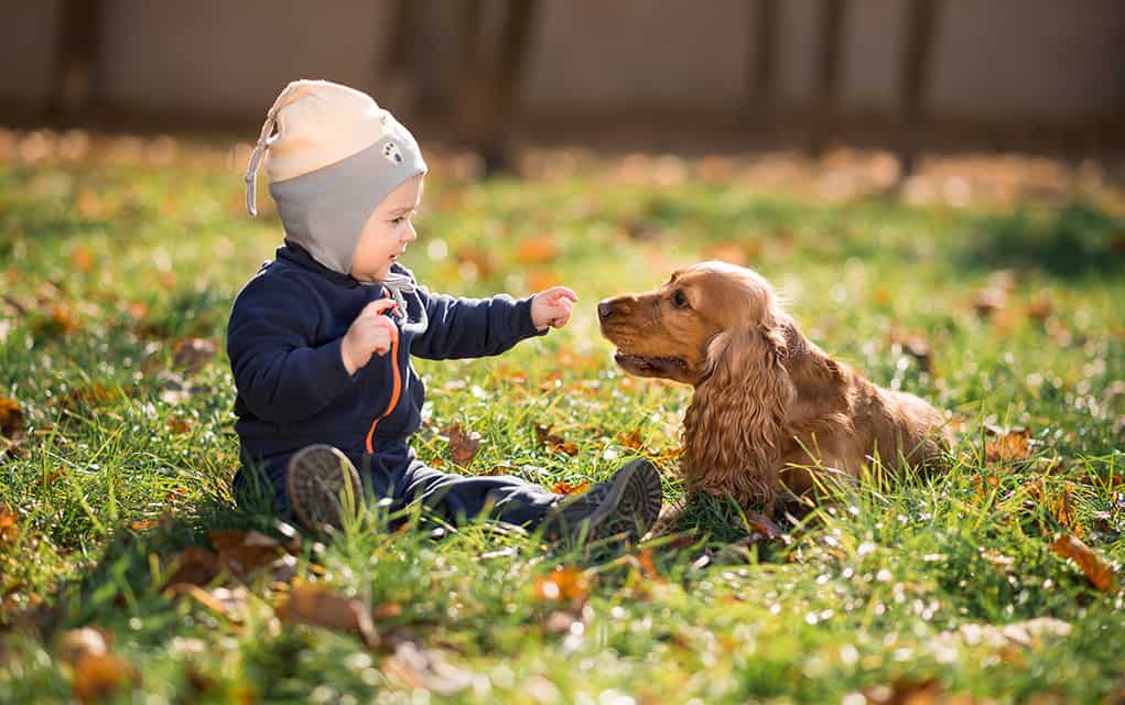 Woolwich Lions raise funds to provide support dog for autism