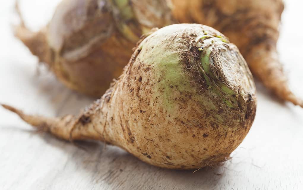 Getting to the root of a tasty use for an overlooked vegetable