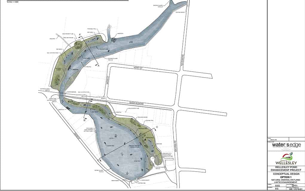 Pond rehab finds public interest