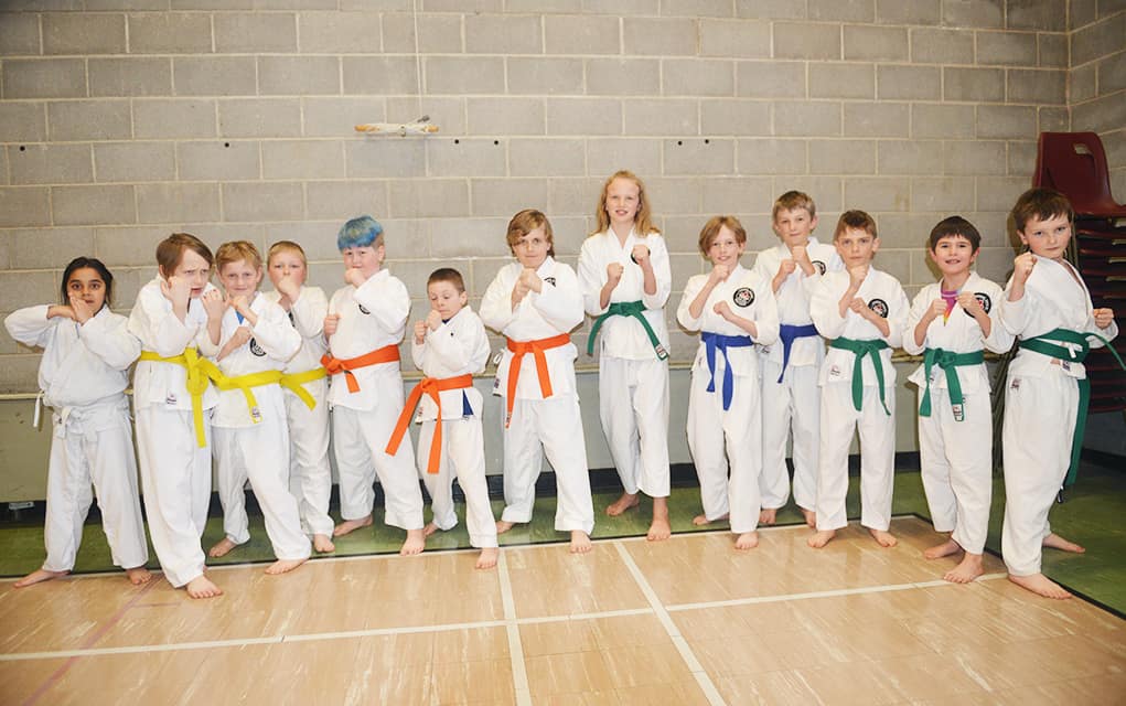 Elmira Karate Dojo to host CNGK tournament Sunday