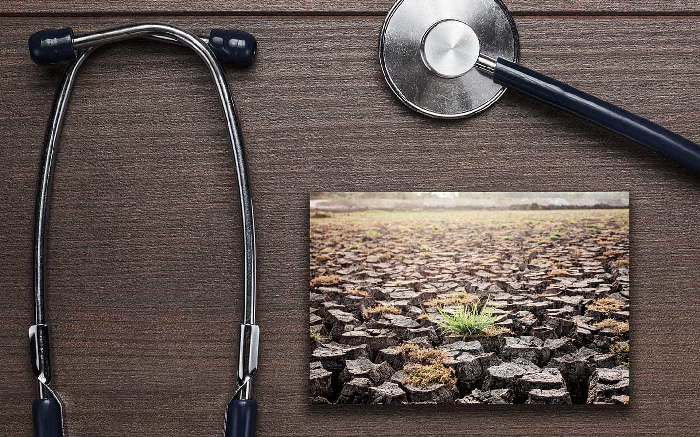 Region gets funds to study health effects of climate change