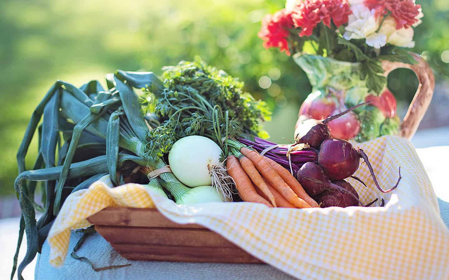 Before the Plate documentary shines light on food production in Ontario