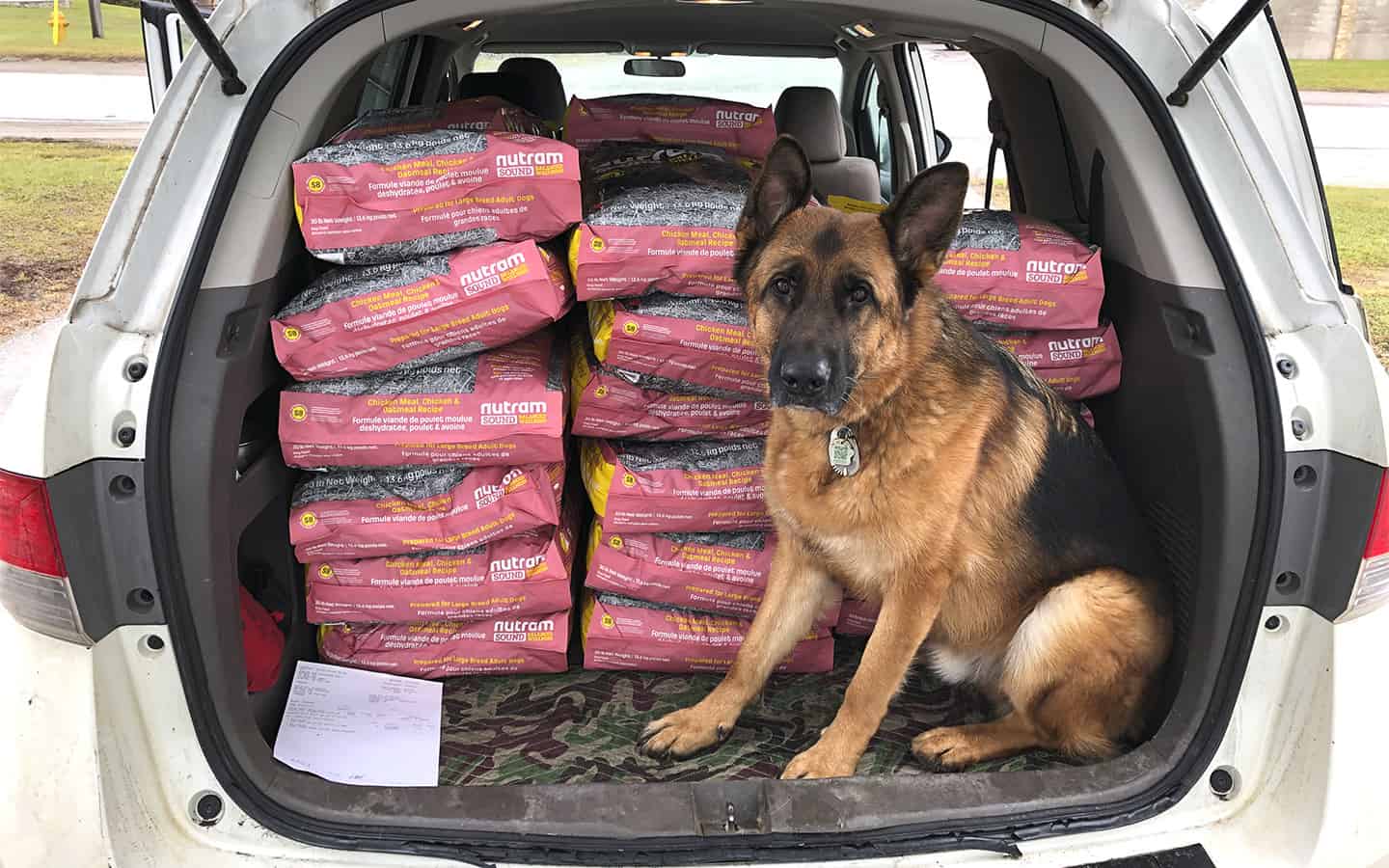 Elmira-based pet food company launches contest in support of animal shelters