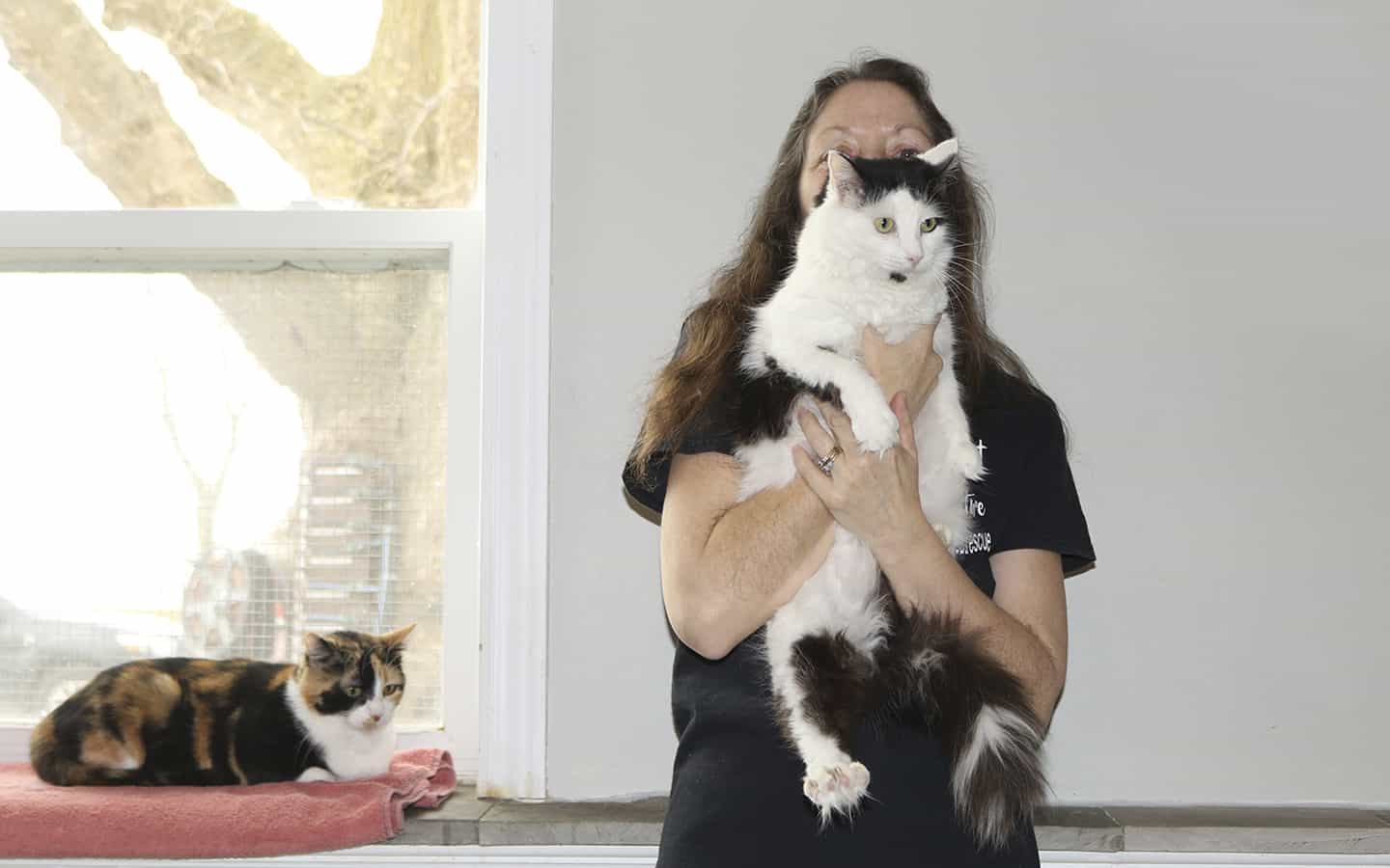 Local cat adoption organization in need of support
