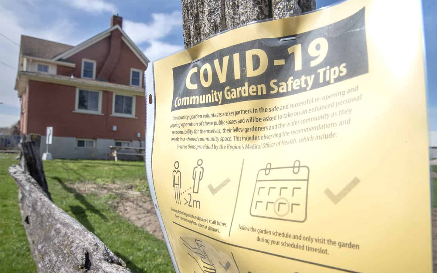 Community gardens to open in the region after province loosens rules