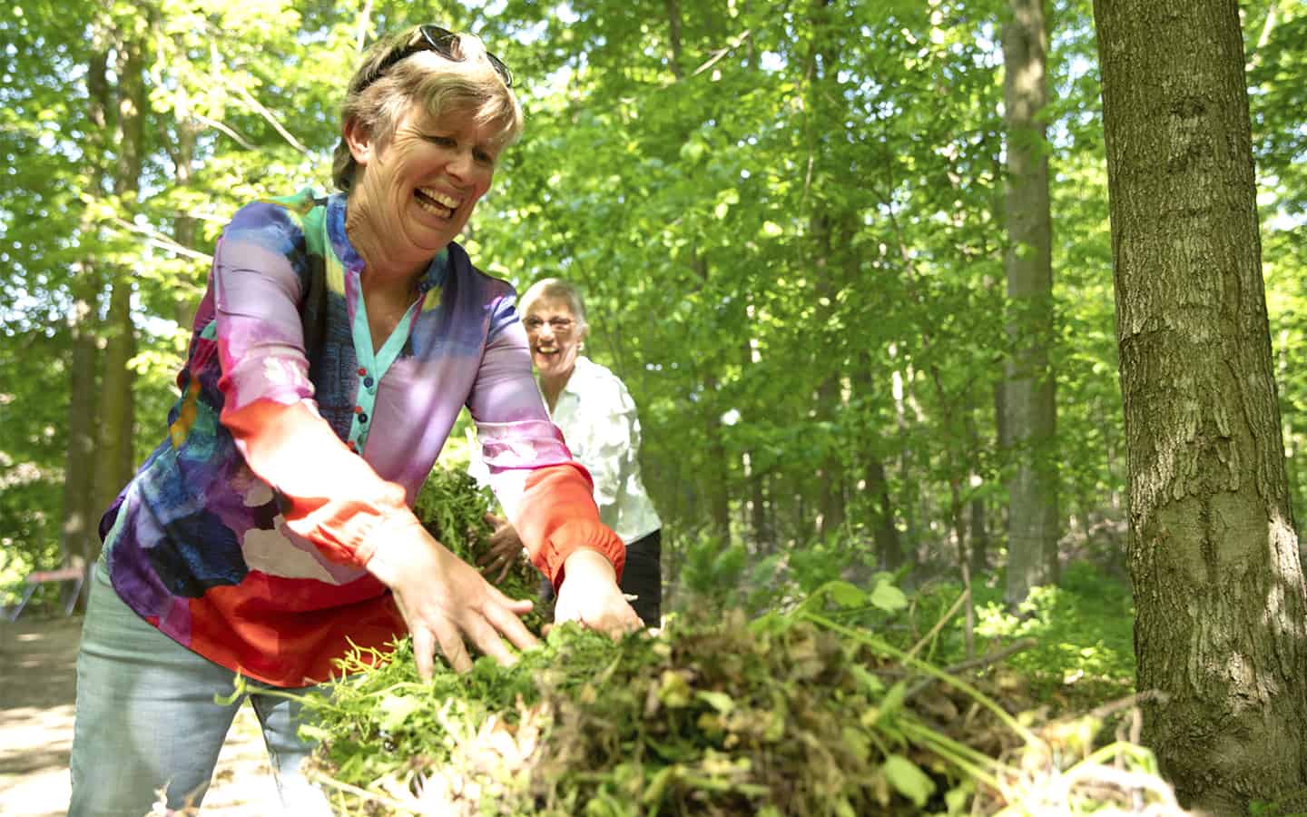 Volunteers take on battle against weeds in Elmira woodlot