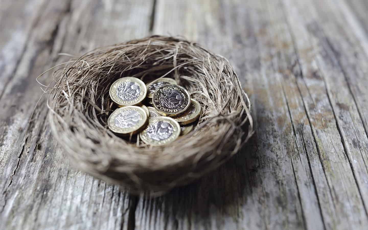 Relocated bird nest adds to cost overages on road project