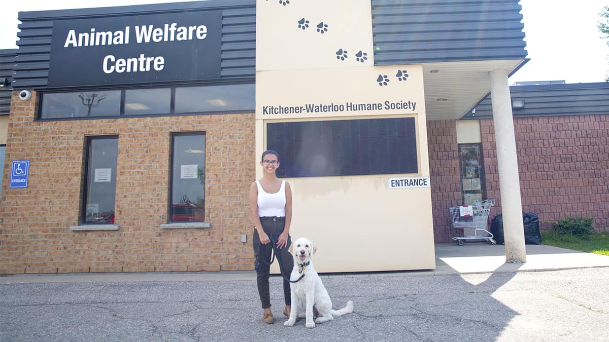 Humane Society goes “fur-tual”