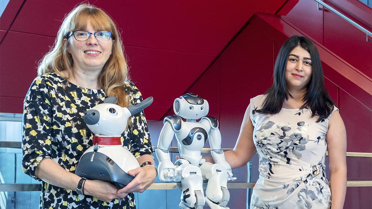 Rise of the bots