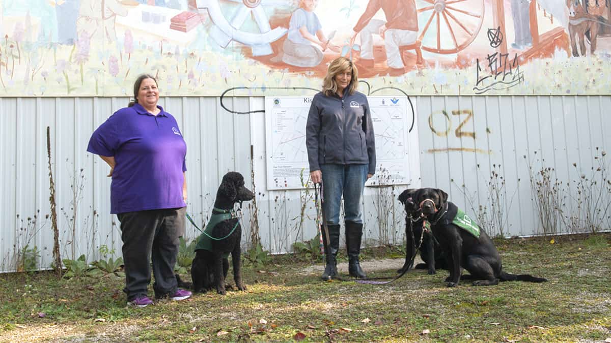 Floradale Friends of Dog Guides to hold fundraising online auction