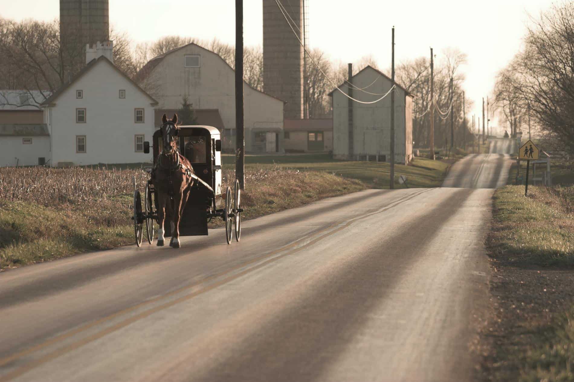 Region orders closure of Old Order Mennonite churches and schools