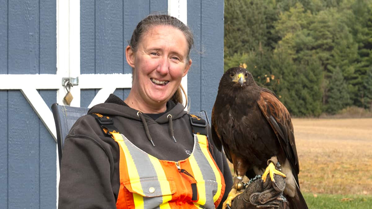 Plenty of stories of pets in the workplace