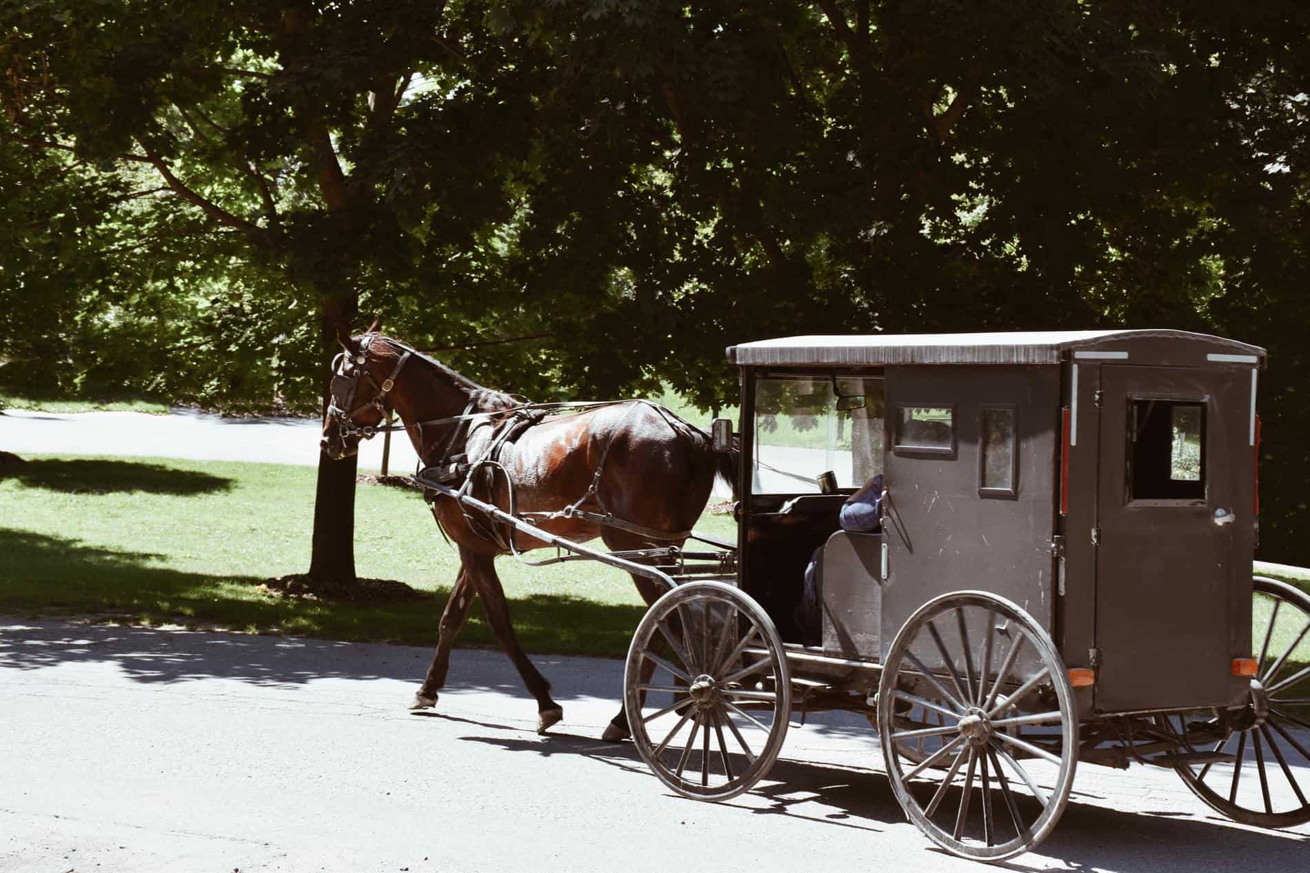 Zone change required to keep horse in town
