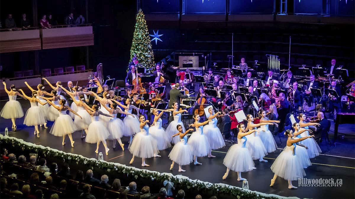 KWS takes their Christmas spectacle online