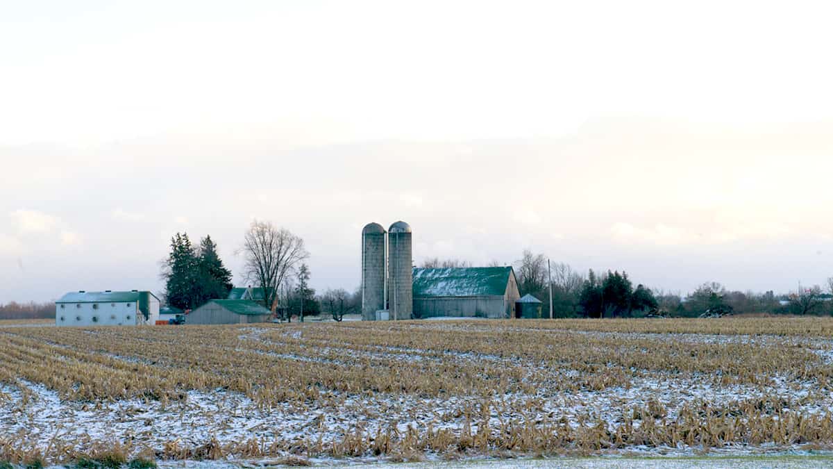 Winter likely to be milder, but with more precipitation