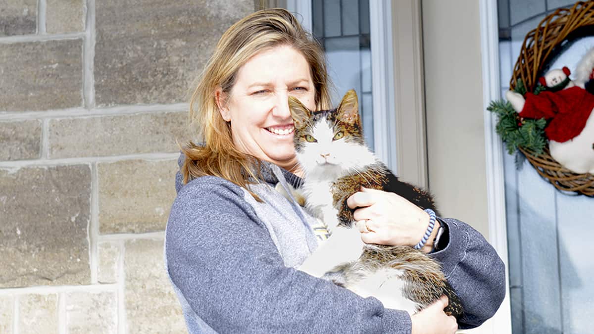 The cat came back the very next … decade