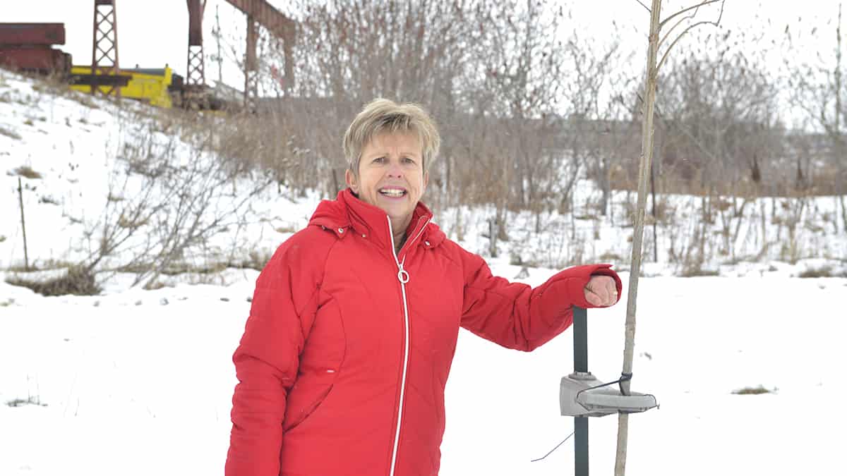 New initiative aimed at greening businesses