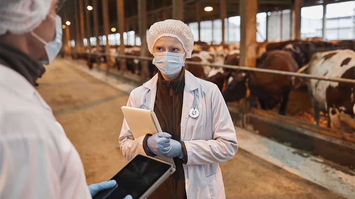 Province steps up COVID-19 inspections at farm operations