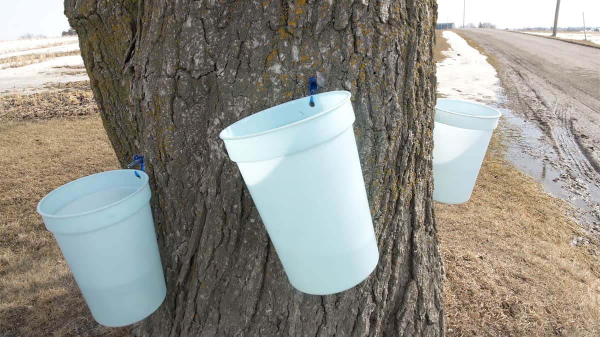 Some spring temperatures, but winter’s not done with us yet