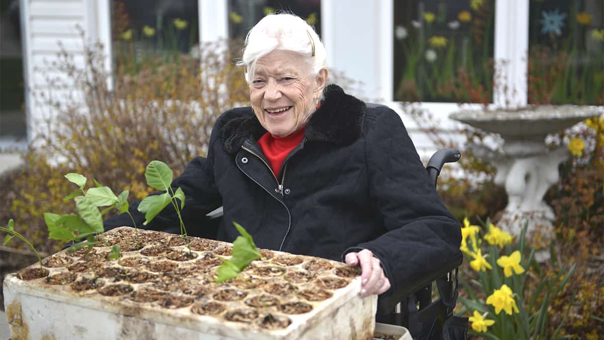 From an acorn a tree will grow