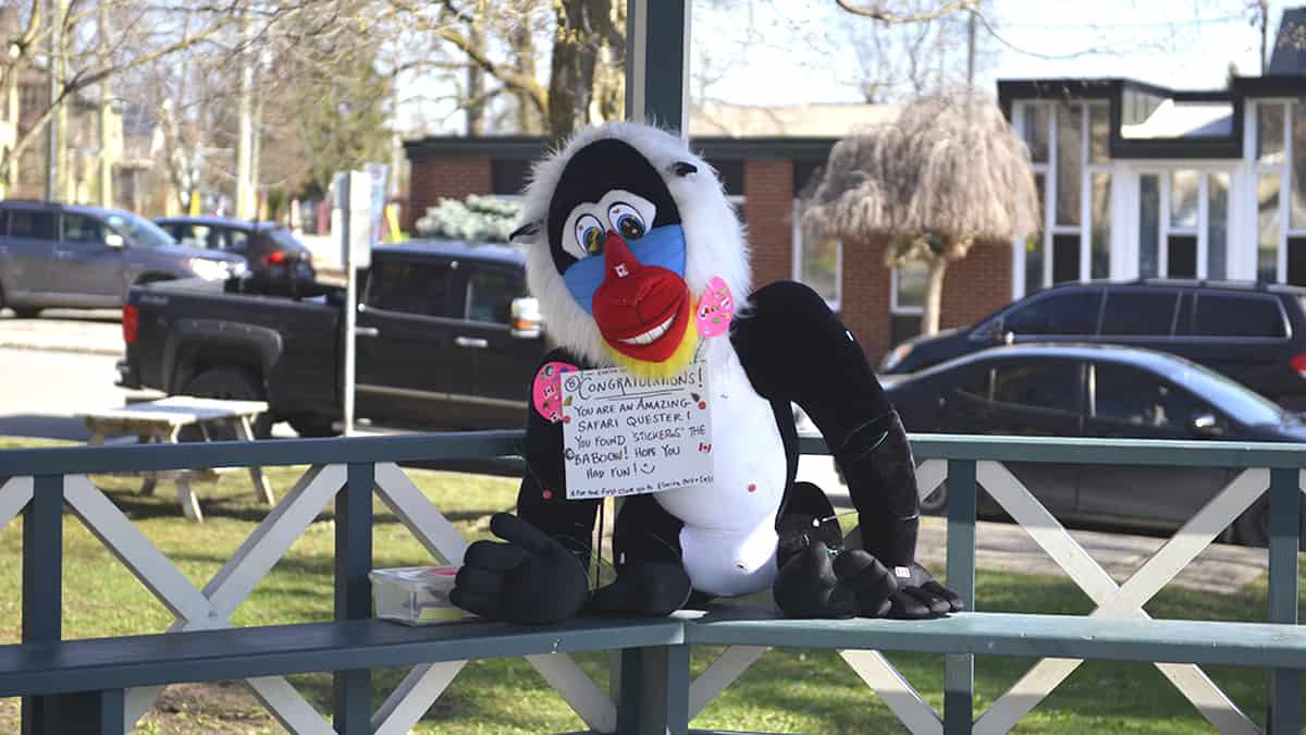 Safari Quest is the latest Elmira scavenger hunt