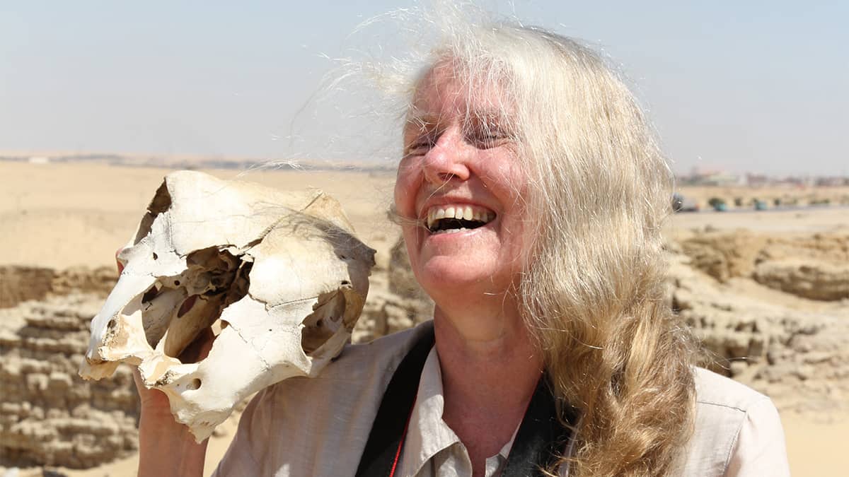 Egyptologist the latest expert to speak with local seniors at popular WSA web series