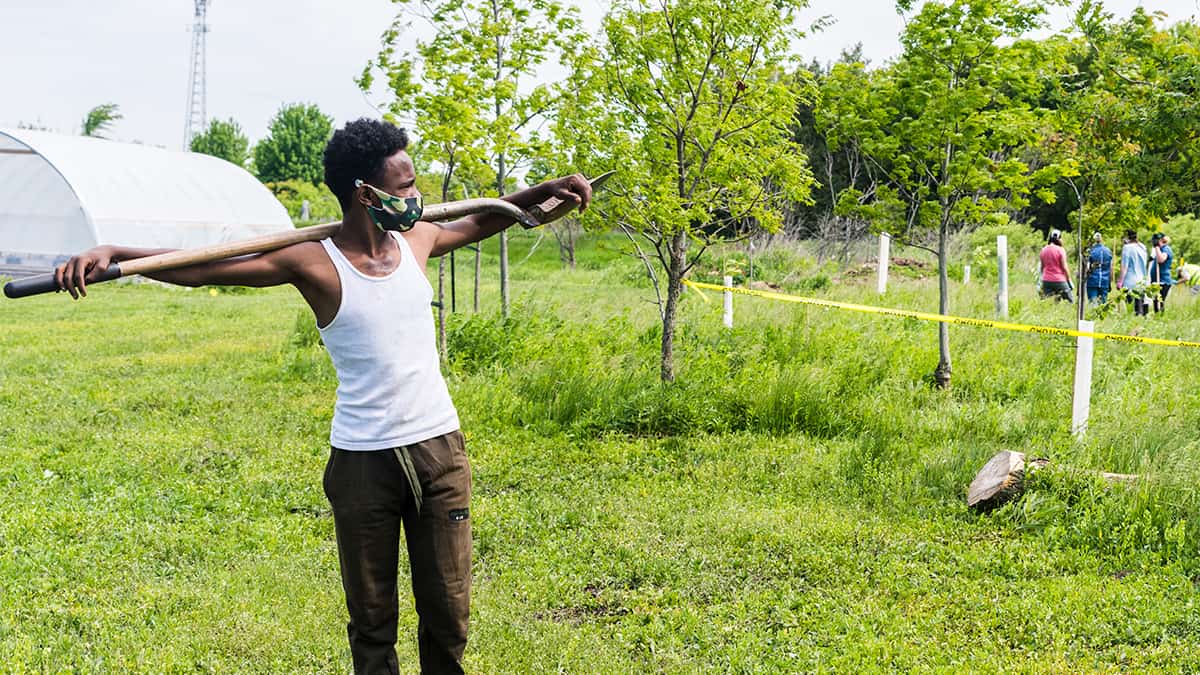 Trees for Woolwich sees major planting push to start the season