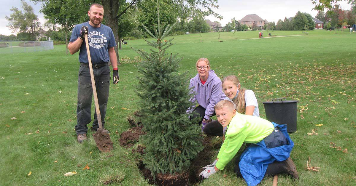 Tree Planting