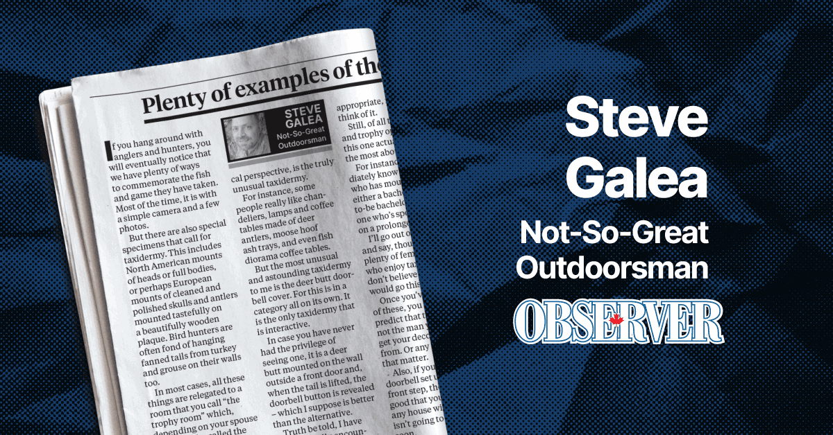 Bless the lowly mosquito