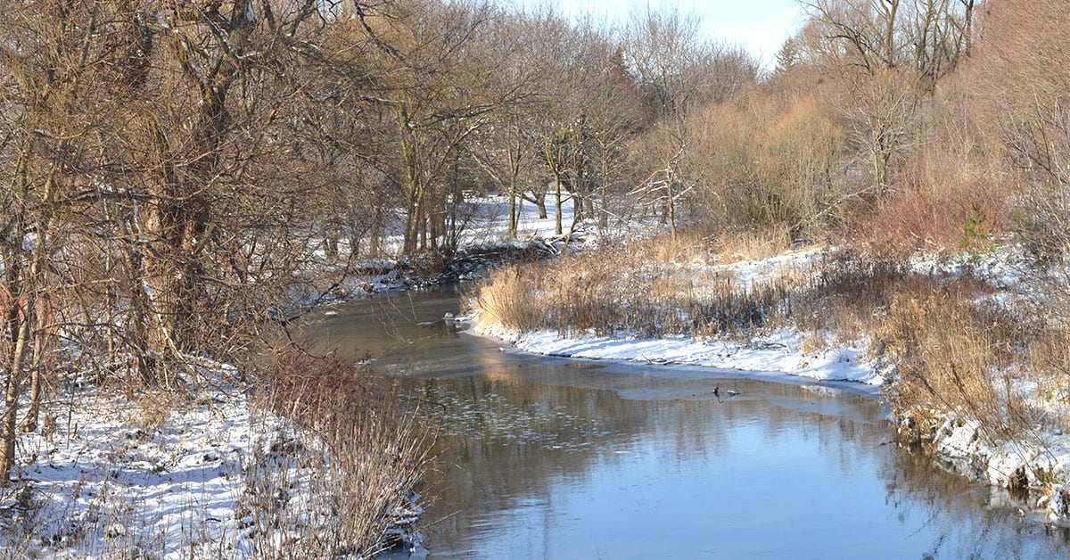 Extreme conditions help define Canada’s top 10 weather stories