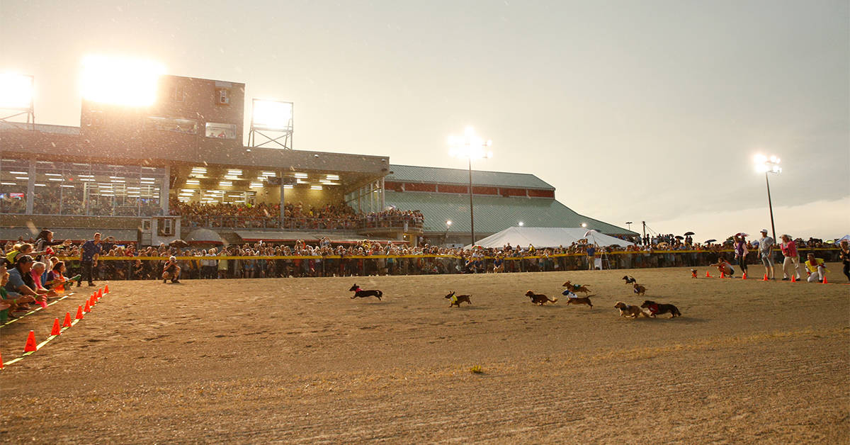 Hot dog, it’s that time again at Grand River Raceway